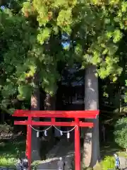 須山浅間神社の鳥居