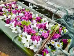 立志神社(滋賀県)