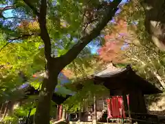 普門寺(切り絵御朱印発祥の寺)(愛知県)