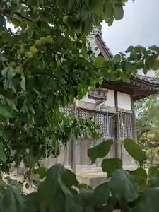 伏木香取神社(茨城県)(2025年06月25日(水) 11時14分30秒投稿)