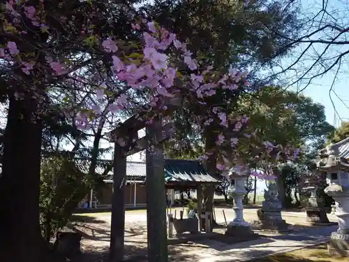 豊布都神社(埼玉県)