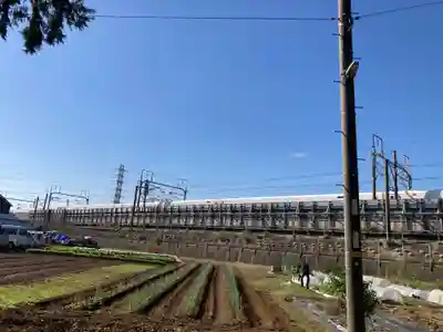 御霊神社(神奈川県)
