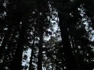 大宮温泉神社(栃木県)