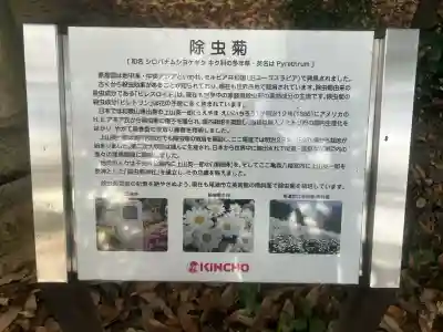 除虫菊神社の{uncategorized: "未分類", other: "その他", undefined: "問題あり", building: "その他建物", grave: "お墓", sacred_gate: "鳥居", guardian: "狛犬", statue: "像", buddha: "仏像", history: "歴史", nature: "自然", garden: "庭園", animal: "動物", pagoda: "塔", temizu: "手水舎", mountain_gate: "山門・神門", sanctuary: "本殿・本堂", subordinate: "末社・摂社", art: "芸術", scenery: "景色", jizo: "地蔵", ema: "絵馬", goshuin: "御朱印", omikuji: "おみくじ", items: "授与品その他", amulet: "お守り", goshuincho: "御朱印帳", eats: "食事", festival: "お祭り", votive_dance: "神楽", shichigosan: "七五三参", wedding: "結婚式", experience: "体験その他", initially: "初詣", around: "周辺", anti_infection: "感染症対策"}