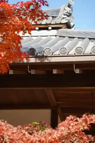 常寂光寺(京都府)