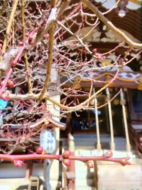 諏訪神社(東京都)