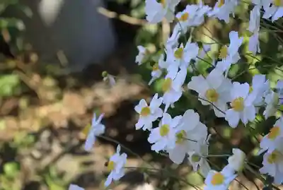 高田寺(京都府)