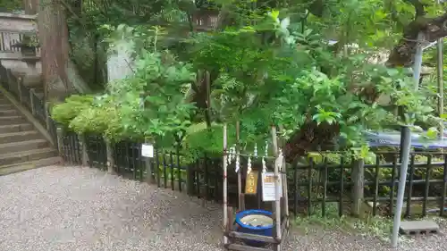 櫻山八幡宮(岐阜県)