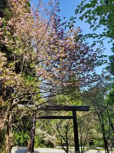 土津神社｜こどもと出世の神さま(福島県)