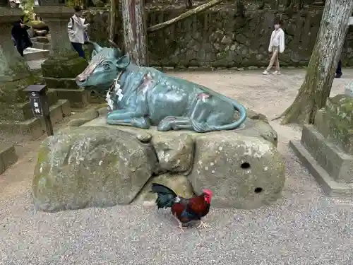 石上神宮(奈良県)