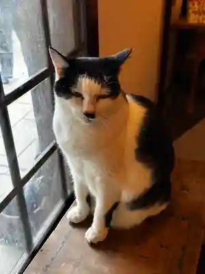 王子神社(徳島県)