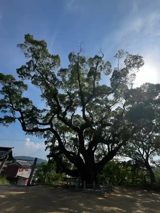 志筑神社(兵庫県)