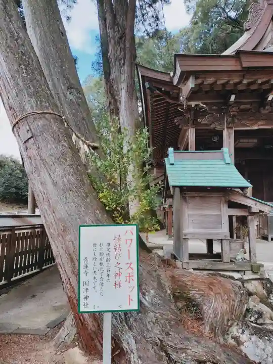國津神社の{uncategorized: "未分類", other: "その他", undefined: "問題あり", building: "その他建物", grave: "お墓", sacred_gate: "鳥居", guardian: "狛犬", statue: "像", buddha: "仏像", history: "歴史", nature: "自然", garden: "庭園", animal: "動物", pagoda: "塔", temizu: "手水舎", mountain_gate: "山門・神門", sanctuary: "本殿・本堂", subordinate: "末社・摂社", art: "芸術", scenery: "景色", jizo: "地蔵", ema: "絵馬", goshuin: "御朱印", omikuji: "おみくじ", items: "授与品その他", amulet: "お守り", goshuincho: "御朱印帳", eats: "食事", festival: "お祭り", votive_dance: "神楽", shichigosan: "七五三参", wedding: "結婚式", experience: "体験その他", initially: "初詣", around: "周辺", anti_infection: "感染症対策"}