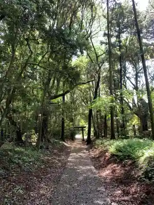 日枝神社(千葉県)