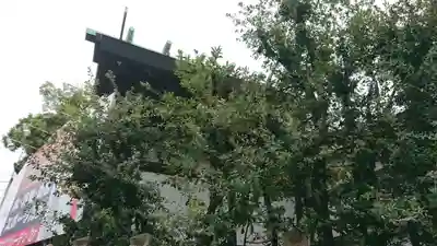 七宮神社の本殿・本堂