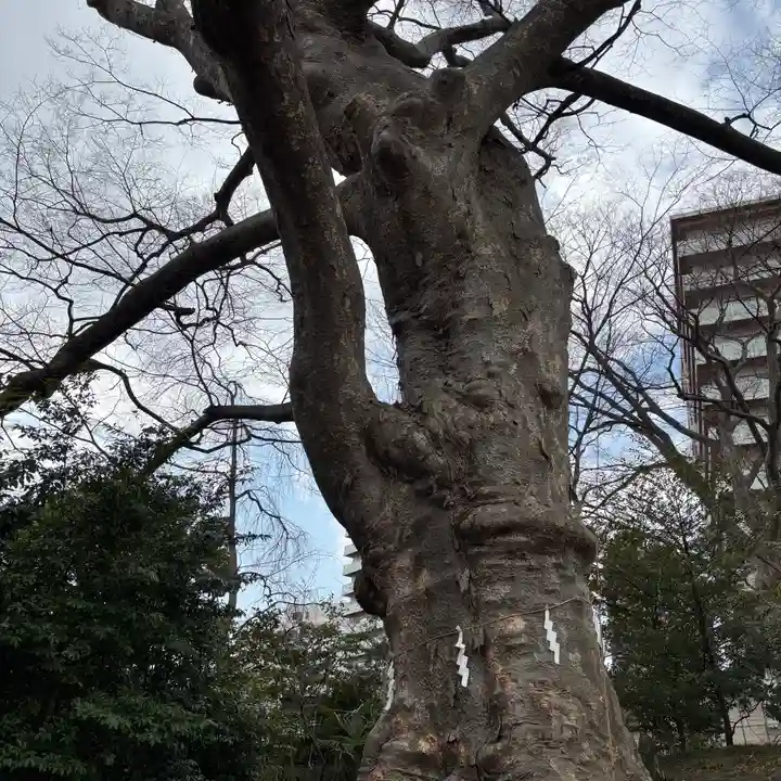 愛宕神社(福島県)