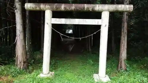 金井神社の鳥居