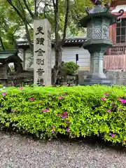 金剛寺の建物その他