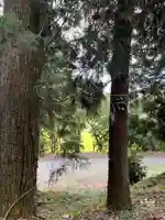 大宮温泉神社(栃木県)