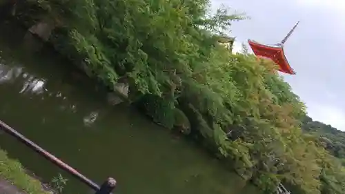 清水寺(京都府)