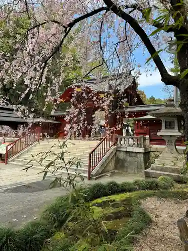 秩父神社(埼玉県)