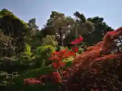 宇佐神社の庭園