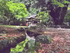 賀茂別雷神社（上賀茂神社）(京都府)