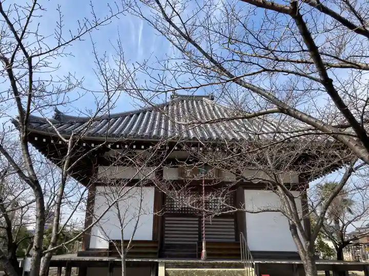教信寺(兵庫県)