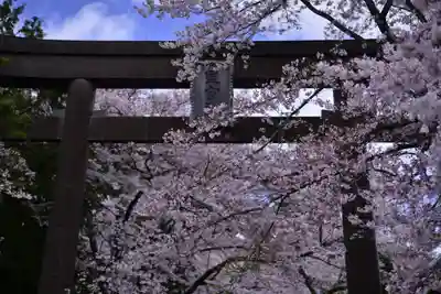 冨士御室浅間神社(山梨県)