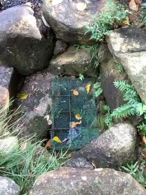 慈妙院の手水舎