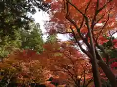 小國神社の自然