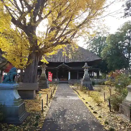 佐竹寺の本殿・本堂