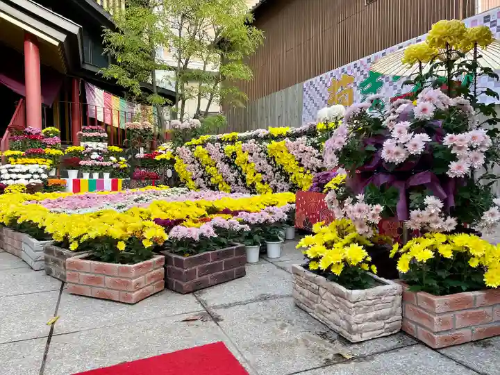 すがも鴨台観音堂(東京都)