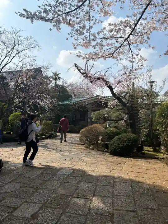 龍雲寺の{uncategorized: "未分類", other: "その他", undefined: "問題あり", building: "その他建物", grave: "お墓", sacred_gate: "鳥居", guardian: "狛犬", statue: "像", buddha: "仏像", history: "歴史", nature: "自然", garden: "庭園", animal: "動物", pagoda: "塔", temizu: "手水舎", mountain_gate: "山門・神門", sanctuary: "本殿・本堂", subordinate: "末社・摂社", art: "芸術", scenery: "景色", jizo: "地蔵", ema: "絵馬", goshuin: "御朱印", omikuji: "おみくじ", items: "授与品その他", amulet: "お守り", goshuincho: "御朱印帳", eats: "食事", festival: "お祭り", votive_dance: "神楽", shichigosan: "七五三参", wedding: "結婚式", experience: "体験その他", initially: "初詣", around: "周辺", anti_infection: "感染症対策"}