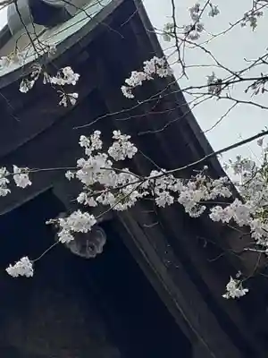 小坂熊野神社(茨城県)