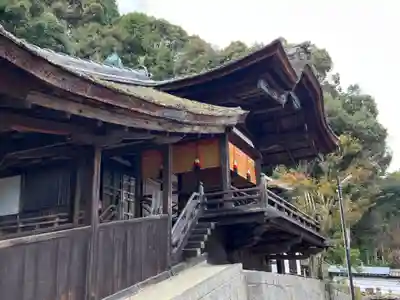 金剛寺の本殿・本堂