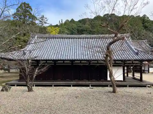 金剛寺(大阪府)