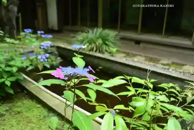 伊勢山皇大神宮(神奈川県)