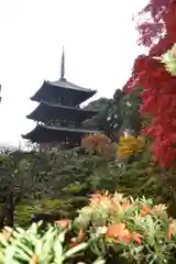 當麻寺(奈良県)