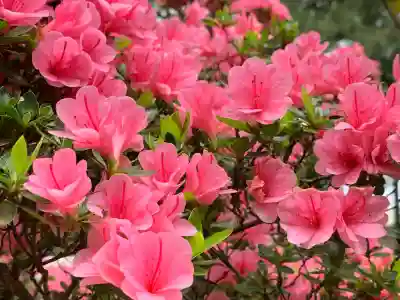 岡登霊神社(群馬県)
