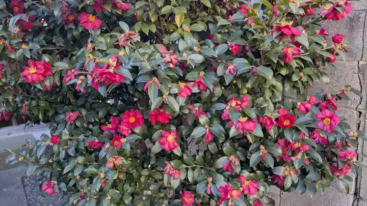 連雀子育観音の自然