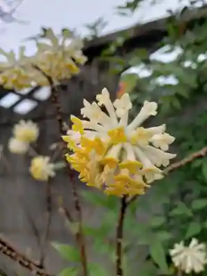 仙藏院(東京都)