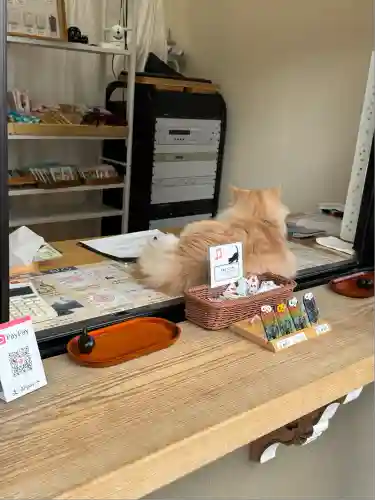 駒込妙義神社(東京都)