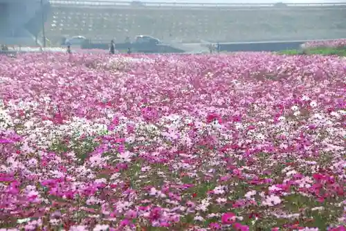 箭山神社上宮(大分県)