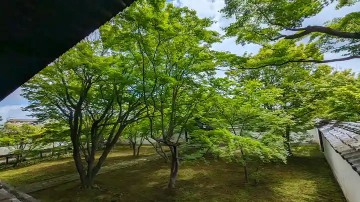 妙覺寺(妙覚寺)(京都府)