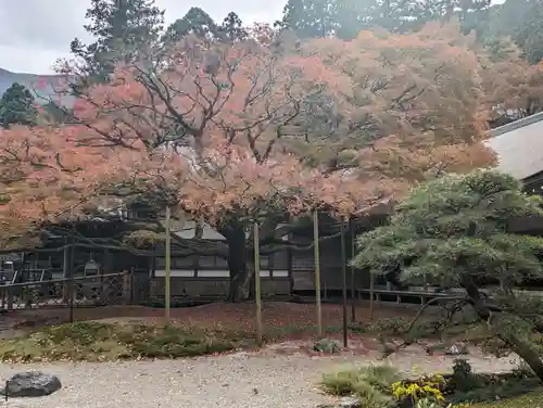 千如寺大悲王院(福岡県)