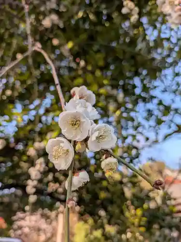蓮華寺(東京都)