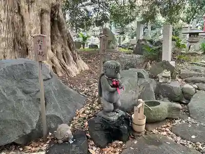 善養寺（善養密寺）(東京都)