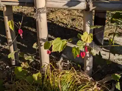 蓮光寺(東京都)