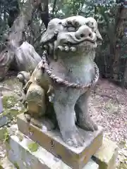 八雲神社(福井県)